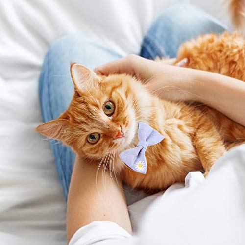POPETPOP Pet Coleira Com Sino Gato Separatista Colarinho Arco Cão Gravata Borboleta Colar de Present