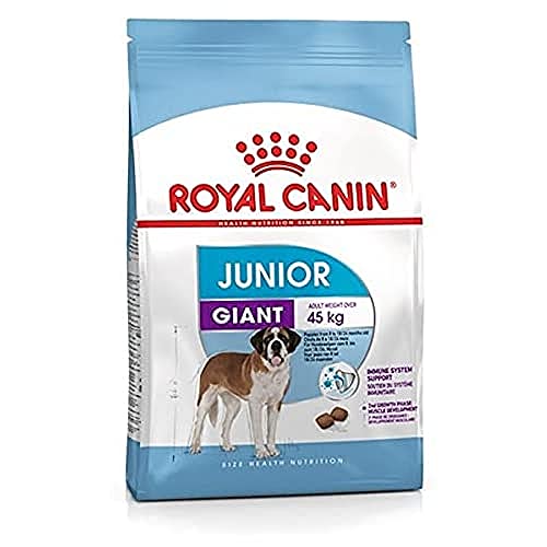 Royal Canin - Giant Junior 31 - Nourriture pour jeune chien - Très grandes races - 15 kg