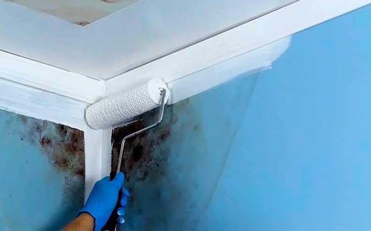 Sentinel 24-7 Zero Interior Mold & Mildew Resistant Coating (5 Gallons, Clear) 24-7ZERO 0