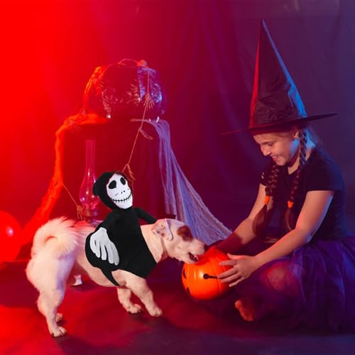 MILIAFLICK Halloween Kostüm für Hunde - Großer Hund Halloween Kostüm Hundekostüm