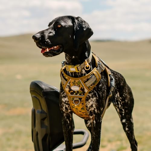 Image of AUROTH Tactical Dog Harness for Small Medium Dogs No Pull Adjustable Pet Harness Reflective K9 Working Training Easy Control Pet Vest Military Service Dog Harnesses Woodland Camo M