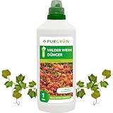Purgrün