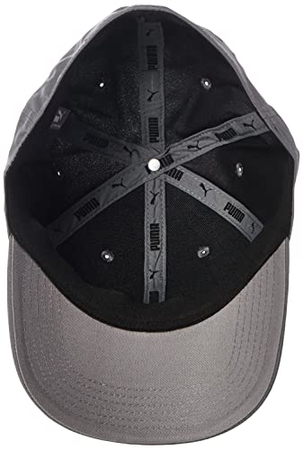 Puma Unisex Adult Stretch Fit Baseball Cap, Gray/Silver, Large-X-Large Us #TOP3