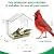 Window Bird Feeders with 5 Strong Suction Cups, Clear Bird Feeder for Window Acrylic, Suction Cup Bird Feeder, Garden Yard Gifts for Elderly Kids,Mom,Dad,Bird Lovers