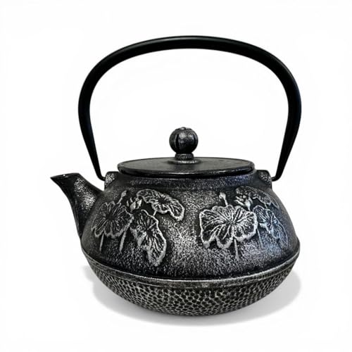 SO SKIN IDASY Théière en fonte japonaise 900 ml avec filtre inox – Théière fonte émaillée, garde la chaleur, design zen élégant, idée cadeau