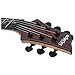 Schecter C-1 Exotic Ebony Electric Guitar - Natural Satin