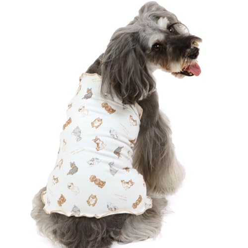 ybgp_CX   H makokoro  yeBq[g yQl SM Č r[O (`13kg) ybgp_CXcX72XܓWJ2025/10/1_z