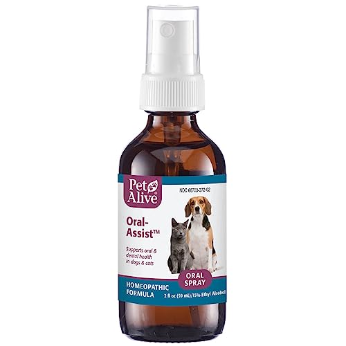 PetAlive Oral-Assist – Natural Homeopathic Formula Supports Oral and Dental Health in Dogs and Cats – Supports Healthy Teeth and Gums in Pets – 59 mL PetAlive Oral-Assist – Natural Homeopathic Formula Supports Oral and Dental Health in Dogs and Cats – Supports Healthy Teeth and Gums in Pets – 59 mL