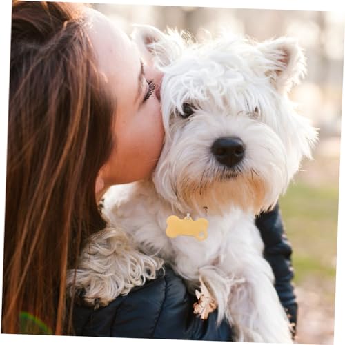 Plaques identification animaux acier durable Kisangel étiquettes premium - 3
