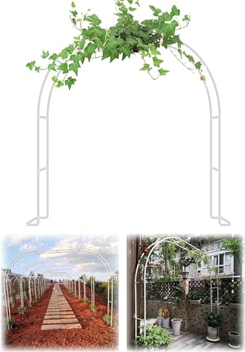 Arco oRp o K[fA[` p[S Ap W80-350cm H220cm 230cm _̓AAp[eB[p (J[: O[ATCY: W260x220cm (W8.5x7.2Ft
