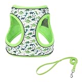 Step in Dog Harness and Leash Set, Flower Adjustable Easy Walk Puppy Harnesses, Soft Mesh Pet Vest Harness Small Size Dog Adjustable No Pull Dog Harness for Small Medium Dogs(Dinosaur1, S)