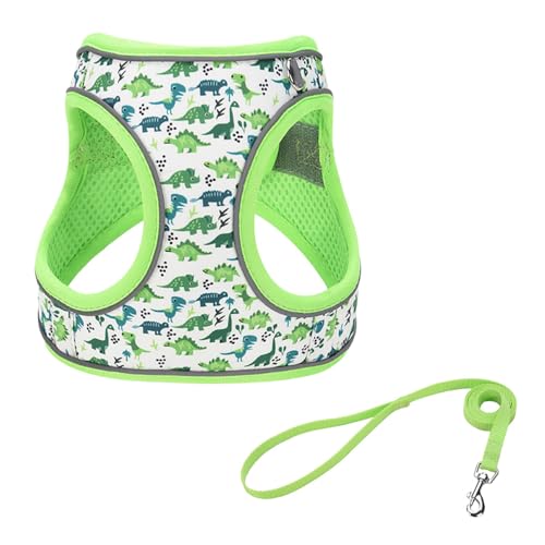 Step in Dog Harness and Leash Set, Flower Adjustable Easy Walk Puppy Harnesses, Soft Mesh Pet Vest Harness Small Size Dog Adjustable No Pull Dog Harness for Small Medium Dogs(Dinosaur1, S)