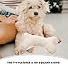 BCOATH Washable Dog Toys 3 Pieces Plush Dog Toys with Squeaker Soft Comfortable for Puppies Small Dog Toys for Playtime