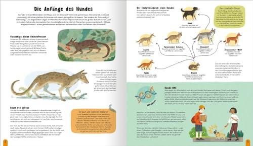 Die Welt der Hunde: Alles über unsere Freunde auf vier Pfoten | Ein besonderes Geschenk für alle ab 8 Jahren, die Hunde lieben
