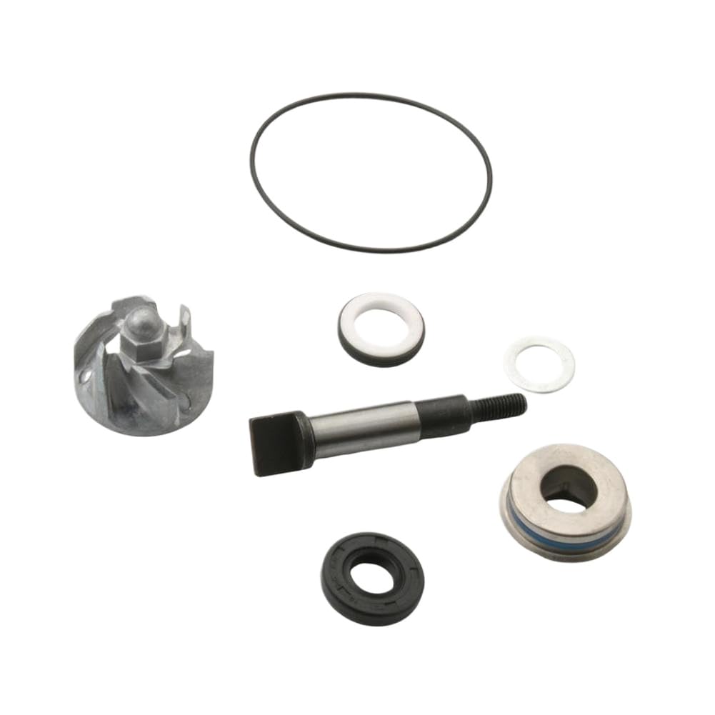 Kit di riparazione pompa acqua compatibile con SH 300 Forza 300 NSS300 SH NSS Scoopy 300i 100110520