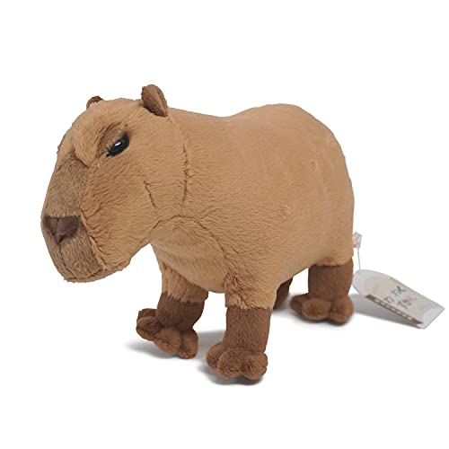 TSTAhoX 킭킭} Jso ʂ 9940