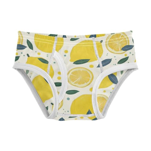 Wusikd Lemon Slices Boys' Underwear Cotton Yellow Boys Briefs Soft Toddler Underwear 2T