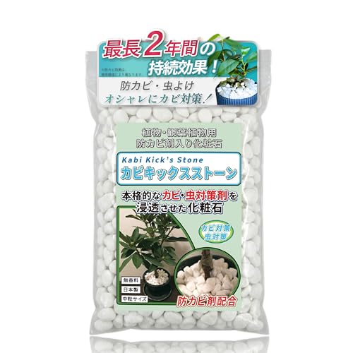 【最長2年のカビ予防&虫除け】 観葉植物