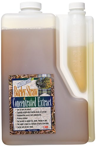 Ecological Labs 971002 AEL20071 Microbe Lift Barley Straw Extract Pond Conditioners for Aquarium, 64-Ounce