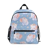 Compartiments du sac à dos de tennis pour enfants : 1 compartiment principal zippé, 1 poche avant zippée, 2 poches latérales. Le compartiment principal et les poches avant peuvent stocker des collations, des jouets et des livres pour enfants, deux poches latérales sont suffisantes pour des bouteilles d'eau ou des boissons et d'autres petits articles.