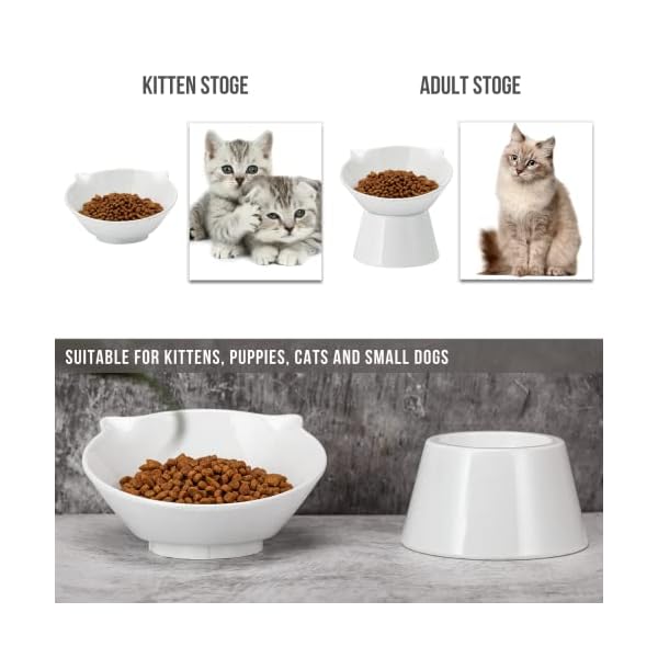 vootun Futternapf Katze,Katzennapf Erhöht Fressnapf Katze mit 15° Neigung Design,Anti-Erbrechen Katzennäpfe,Katzenfutternapf für Futter und Wasser,perfekt für Katzen,Welpen und kleine Hunde,Weiß – Bild 5