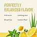 Celestial Seasonings Lemon Zinger Herbal Tea, Caffeine Free, 20 Tea Bags Box, (Pack of 6)