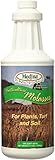 Medina Medium Molasses, 1 quart
