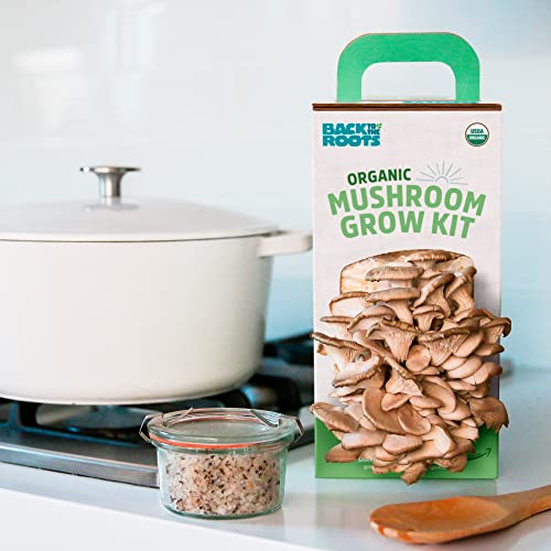 Back To The Roots Organic Oyster Mushroom Grow Kit, Harvest Gourmet Mushrooms In 10 Days #TOP4