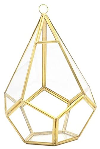 Floralcraft Gold 18Cm W X 30Cm Hanging Teardrop Terrarium - Indoor Outdoor Tabletop Centerpiece Open Geometric Glass Terrarium Flower Display Planter Pot For Succulent Fern Moss Cacti, (Set Of 2)
