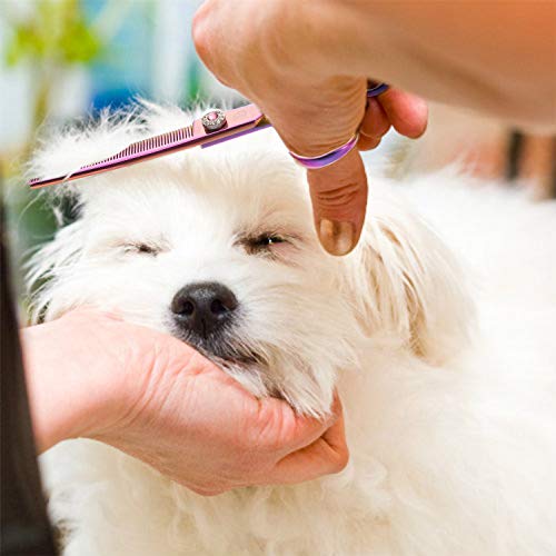 Purple Dragon 6.5" 55 Tooth Professional Pet Grooming Scissors - Dog Thinning/Blending Shears - Animal Hair Trimmer For Pet Groomer #TOP6