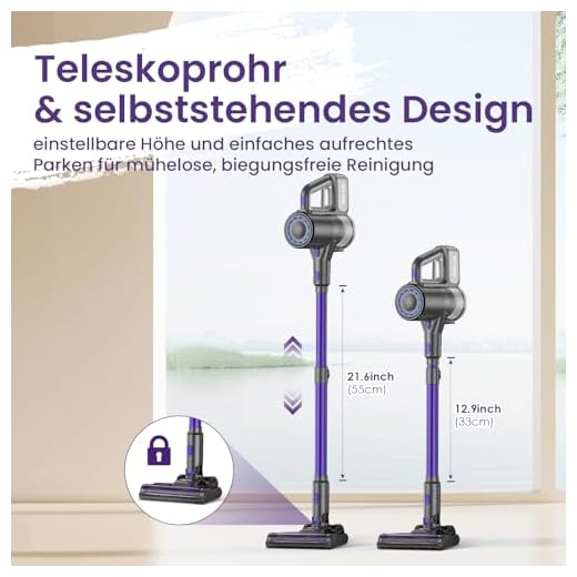 Suirviz Kabelloser Akku Staubsauger