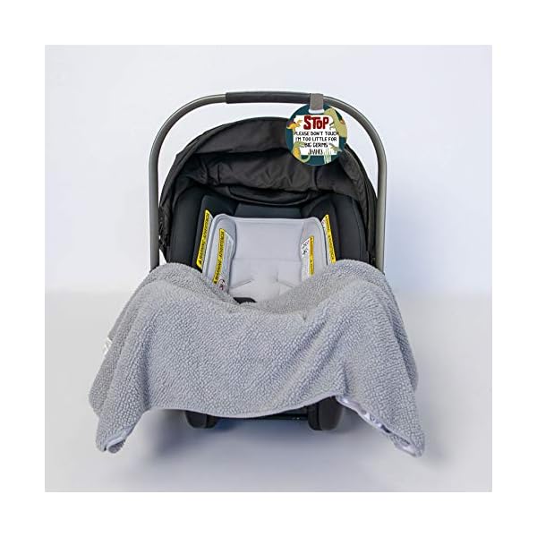 Mumsy Goose Schild mit Dinosaurier-Motiv, Aufschrift "Don't Touch Baby", für Neugeborene, Autositz, Keim-Warnung, für Kinderwagen, T-Rex, Dinos – Bild 4