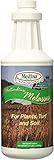 Medina Horticultural Molasses 1200 Sq. Ft. Liquid Qt