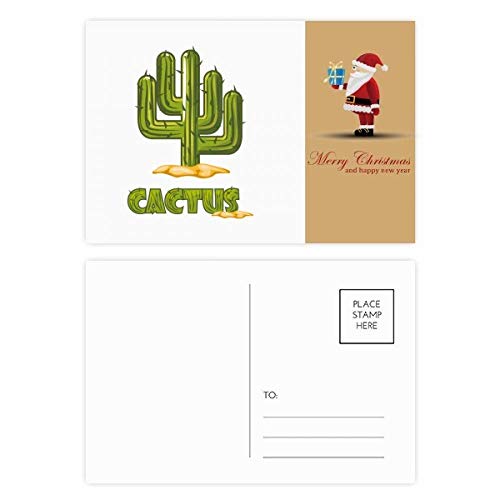 Cartes postales cactus succulents pour accompagner tous vos cadeaux