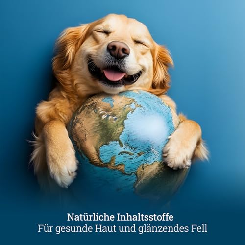 Marsavet Veganes Premium Trockenfutter MicroBell – 900g. Monoprotein-Hundefutter mit mikrobiellen Proteinen, geeignet für Vegetarier, Allergiker und empfindliche Hunde. Vegan, gluten- und getreidefrei