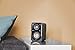 Polk Audio Signature Series S10 Bookshelf Speakers for Home Theater, Surround Sound and Premium Music | Powerport Technology | Detachable Magnetic Grille (Pair), Black
