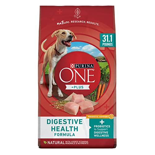 Best wet dog food for digestive problems Gegu Pet