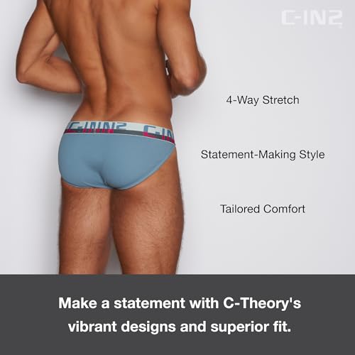 C-IN2 C-Theory Dash Brief3