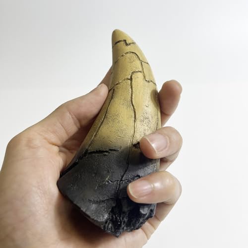 Image of 5.1 inches Tyrannosaurus Tooth Direct Cast Replica,Dinosaur Relic Bone Replica (Yellow-2)