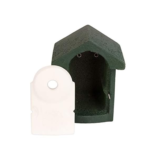 BigDean Nisthöhle Nistkasten Kleinvögel Einflugloch 28 mm Meisenkasten Meisen Kasten Vogelhaus Holzbeton – Bild 5