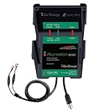 PRO Charging System RS1 / IS1 Recreation Industrial Series w/ 12V output PING