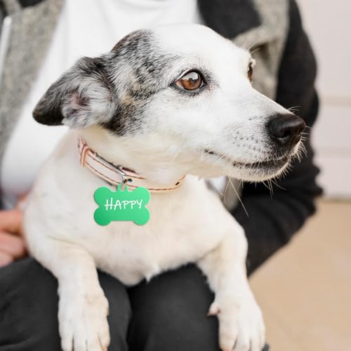 Classicseali 20 Stück Hundemarke Knochen,Metall Erkennungsmarken Rohlinge,Doppelseitige Personalisierte Hunde Marke für ID-Tags,Katzennamen,DIY-Dekorationszubehör,10 Farben