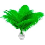 Piokio 10 pcs Natural Green Ostrich Feathers 12-14 inch(30-35 cm) Bulk Feathers for Home Decoration and DIY Clothing and St. Patrick Decoration, Gatsby Decorations