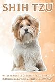 Shih Tzu: Wissenswertes über Hunde für Kinder #26