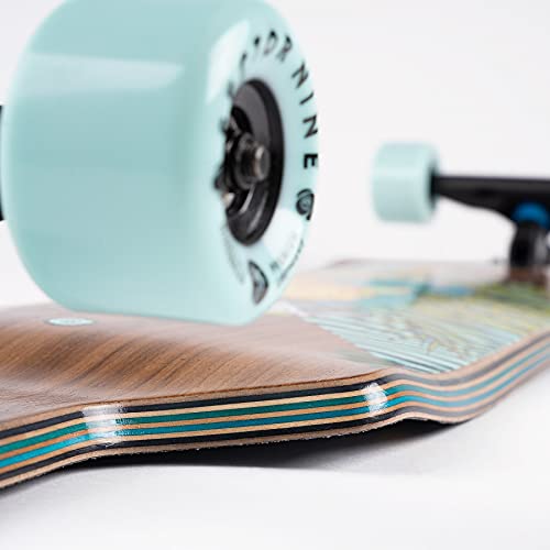 Sector 9 Fault Line Perch Longboard Complete #TOP3