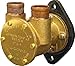 Flange Mount Impeller Cooling Pump