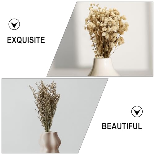 Set de 6 ramos secos de Gypsophila para decoración miniatura 7