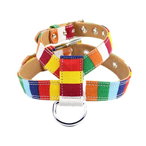Harnais pour chien Rainbow multicolore de taille L pour grand canidé