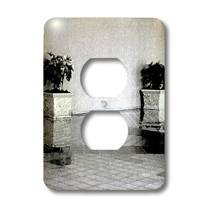 3dRose LLC lsp_64820_6 Maceta de flores en un piso grande, hecha en blanco y negro con tapa de salida de 2 enchufes