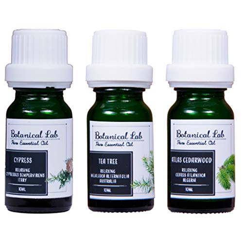 Botanical Lab A}  GbZVIC Zs[uh C R{ Zbg eB[g[ TCvX V_[Ebh 10ml×3